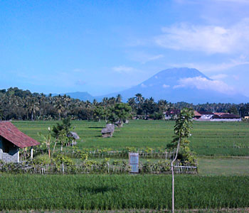 Bali Retreat 2011